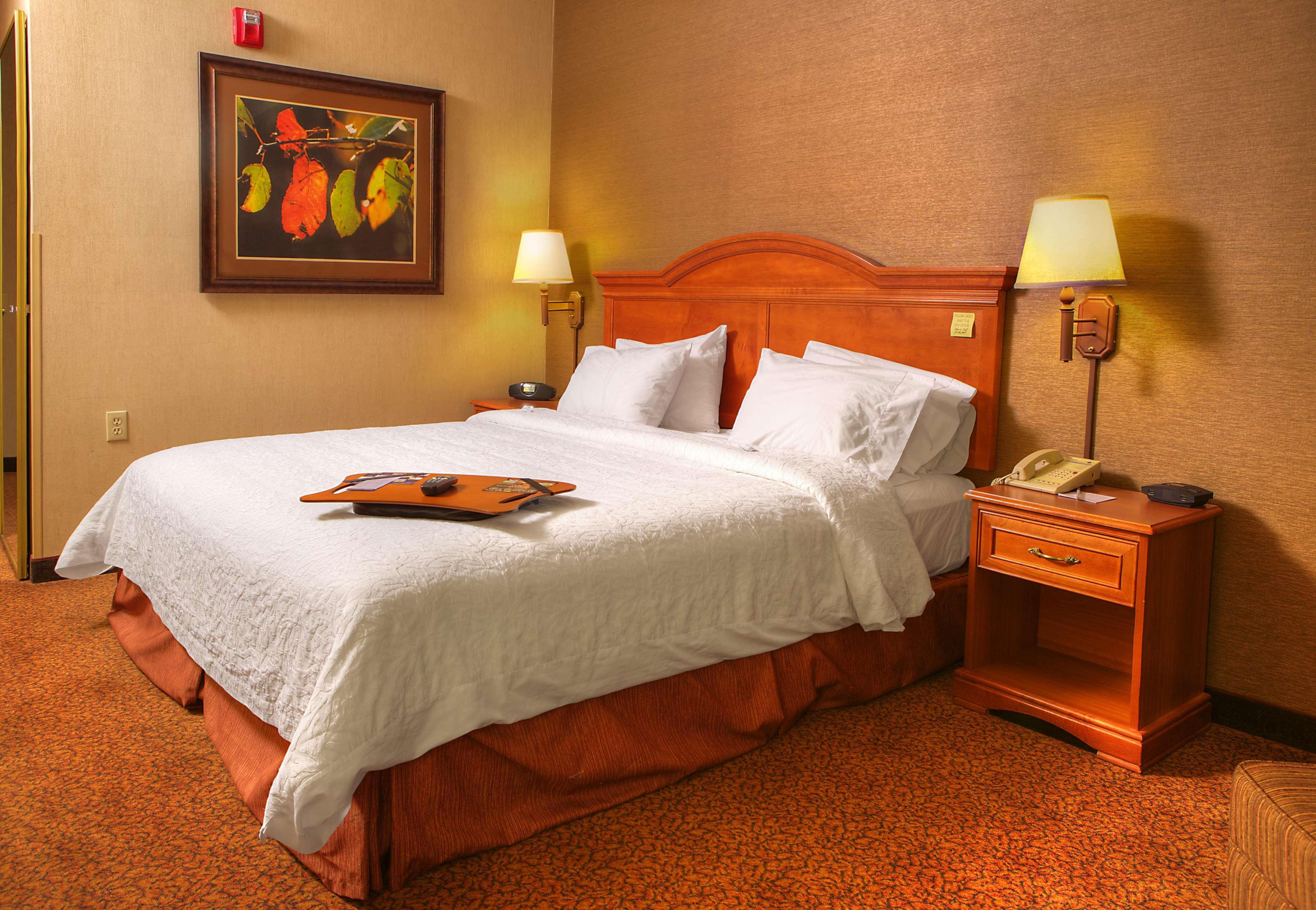 Comfort Inn & Suites Rapid City Near Mt Rushmore Esterno foto